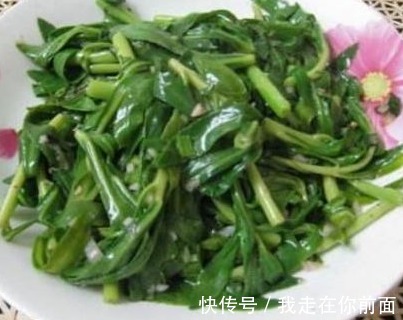 營養物質|救心菜又叫“救命菜”，藥用價值很高，常吃可抑菌補血，美容降壓