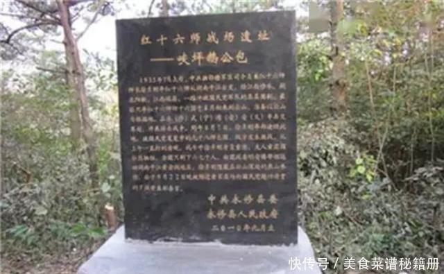 上将|红军主力长征后，这支队伍重要领导多叛变，两位意志坚强者授上将