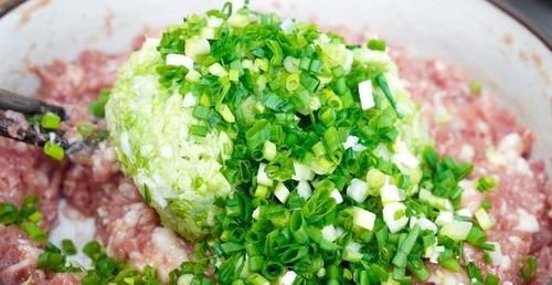  白菜|饺子馆不外传的白菜猪肉馅做法，不腥，不腻，鲜嫩多汁真好吃