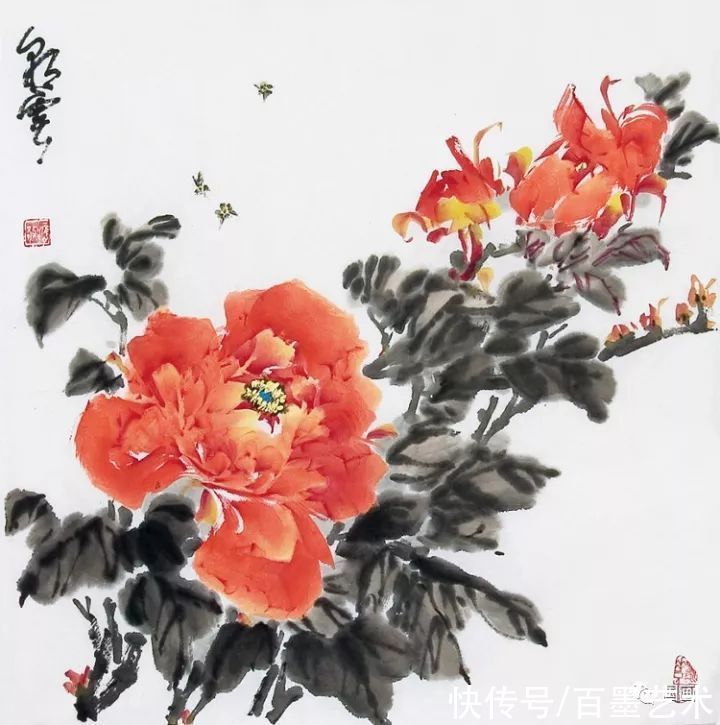 花鸟画！小写意牡丹画，美醉了