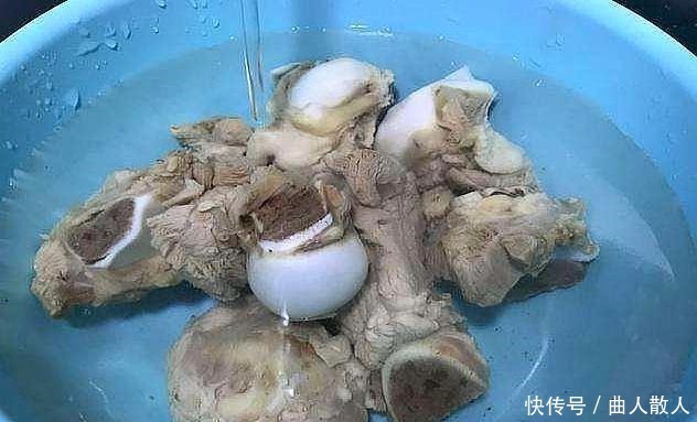 花朵|三角梅开花少,一种粉末埋土里,枝条长得壮,花朵开爆盆!