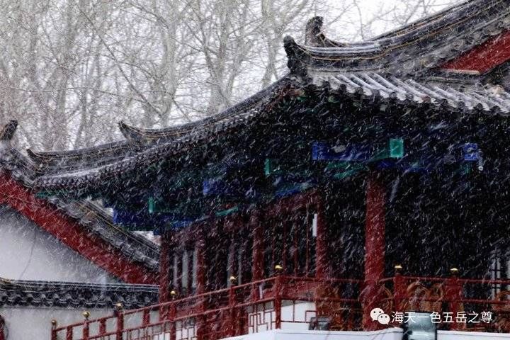 百脉泉|雪泉共舞，百脉氤氲：泉城第一场雪，百脉泉飞花穿庭，盛雪芳华