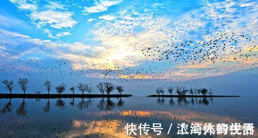 诗人&写洞庭湖的诗很多,刘禹锡的诗却能脱颖而出,他的这首诗好在哪里