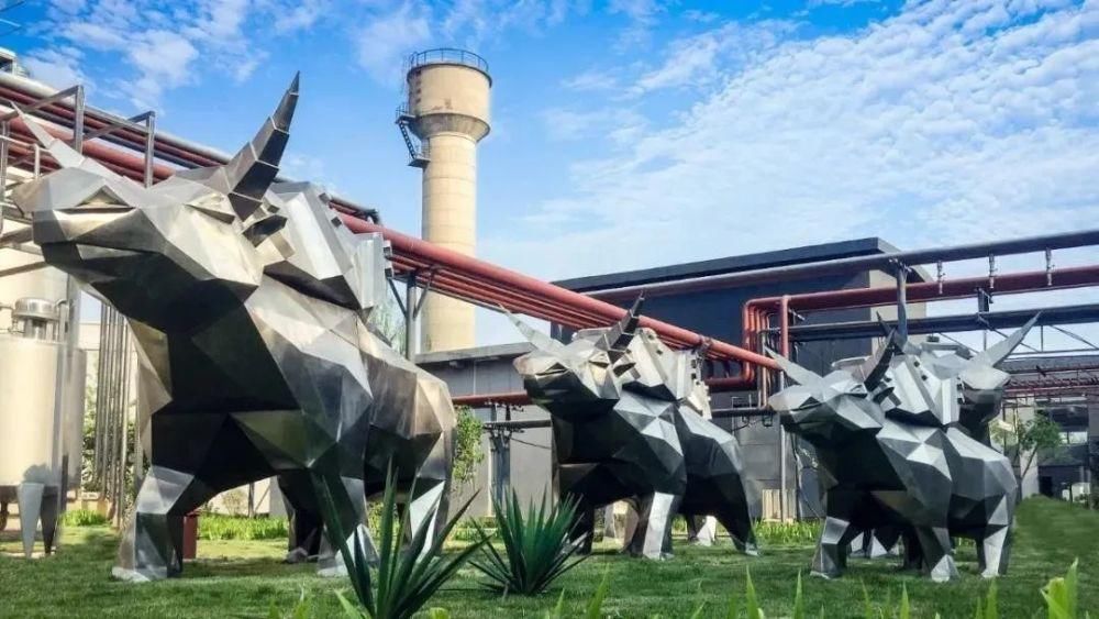 老年|探索“E9区”——不只是网红打卡地,更有满满的回忆