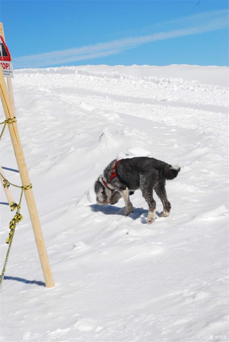 漫游|如画的草原、宏伟庄严的大雪山、澄澈的湖泊，漫游瑞士！！