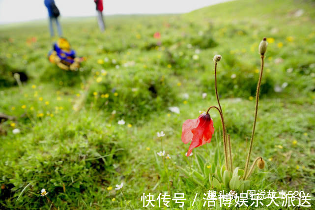 这座城|夏天避暑哪凉快，在最热时2次去过西北这座城，晚上盖棉被