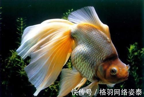 青岛|你知道的可能都是谎言