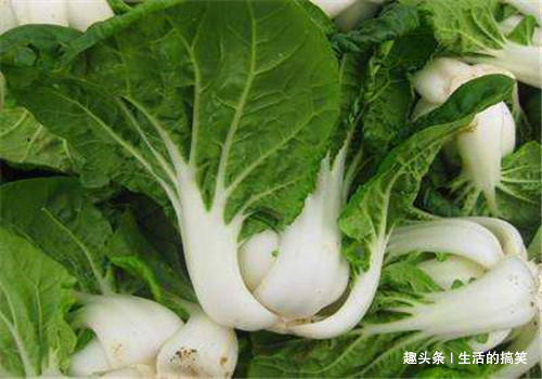 常吃|女性过了40岁,常吃4种食物,排毒素,减肥消脂,营养又瘦身