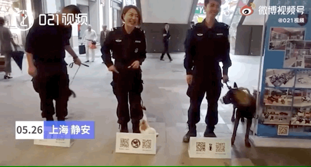 国家反诈中心|扫码就能摸！
