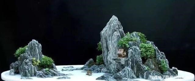 养花|大爷用石头、盘子来养花,布局造景,这就是山水盆景的魅力!