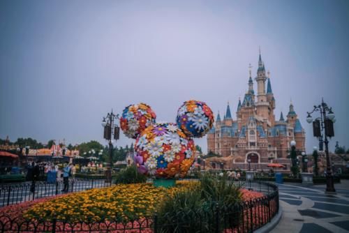 中年|999的迪士尼酒店补库存了！顺便盘点迪士尼周边怎么住？