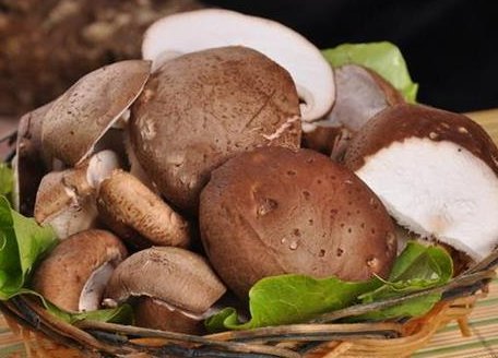 免疫力低的原因都有哪些?我们应该如何提高免疫力?