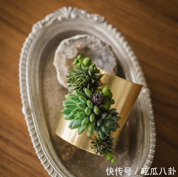 耳环#不是所有首饰都是珠宝的,多肉做成首饰,颜值完全秒杀大牌首饰!