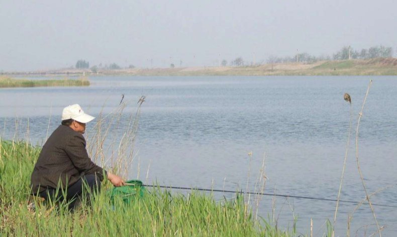 钓鱼调漂与找底是钓鱼人的必修课!掌握这些技巧,不怕调不好