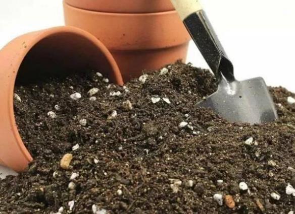 不花一分钱,配制最好的营养土,适合用于养护各种花卉