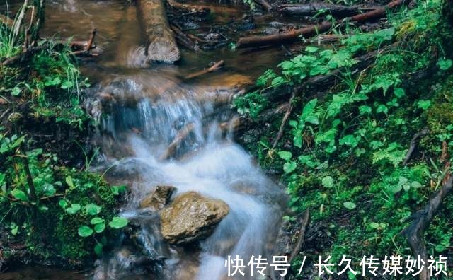 山峰|「玉龙雪山」去一次怎么够