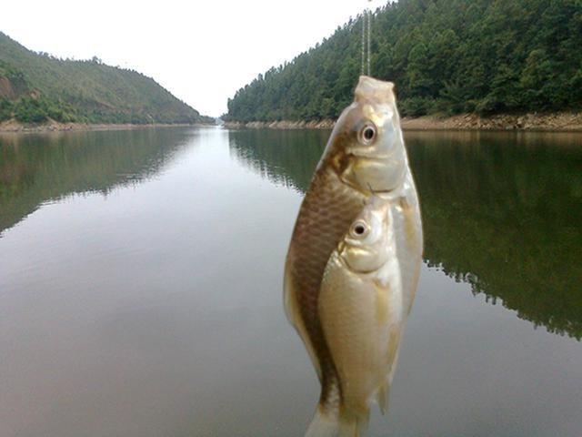 钓鱼时遇到上鱼率低，不要着急上火，试试从这些地方找原因