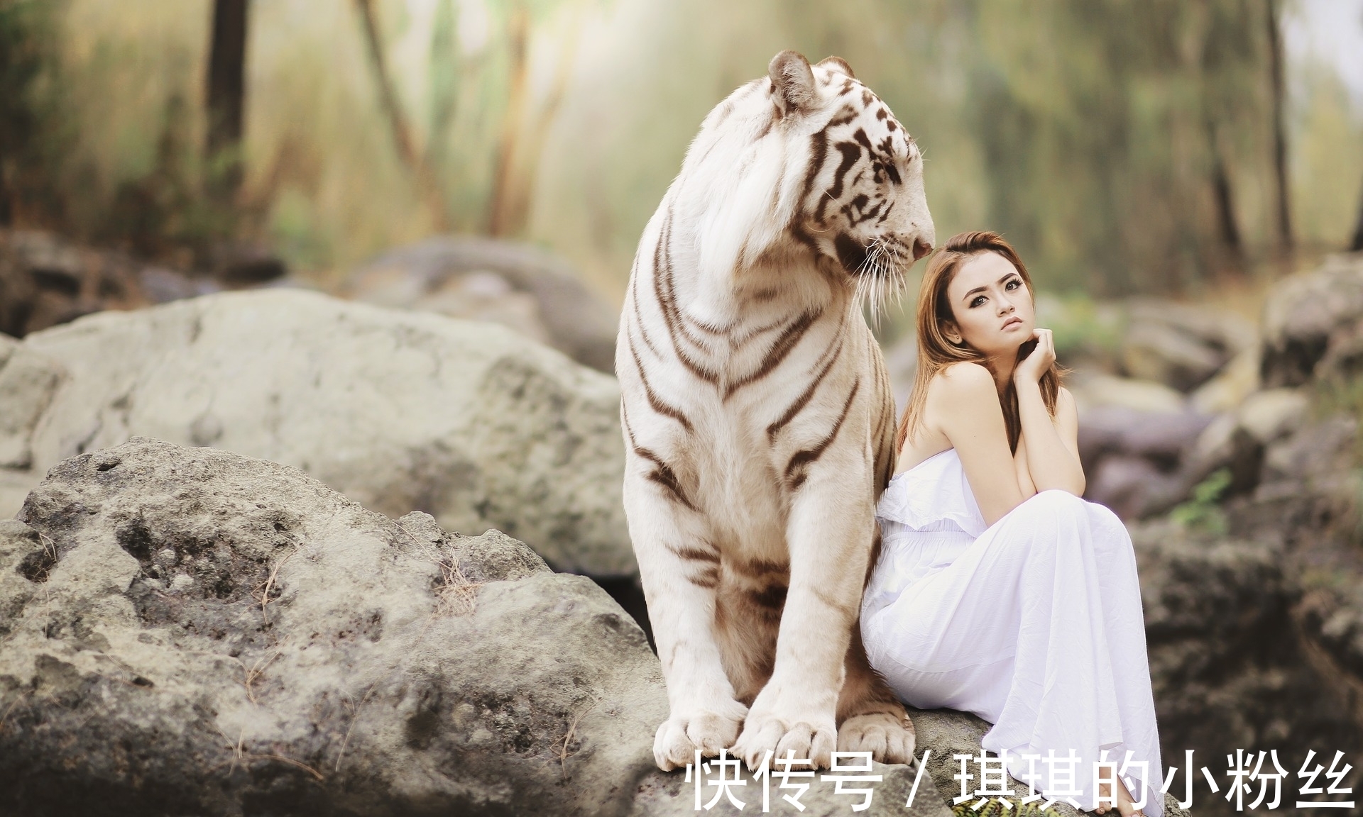 柳郎中#苏轼:心有猛虎,细嗅蔷薇