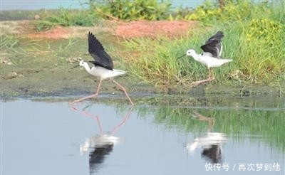  阳光|久违的阳光 缤纷的秋日