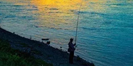 秋季鱼口好,钓位难寻?不妨试试这三招,不用打窝也能爆连