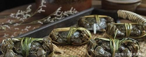 忽悠|买螃蟹不要随便挑,牢记这4点,老板一看你就是行家,不敢忽悠你