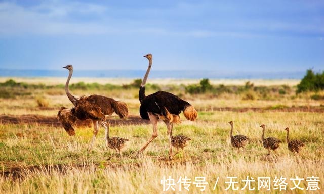 冷知识|这些冷知识看完后姿势长了一大截！