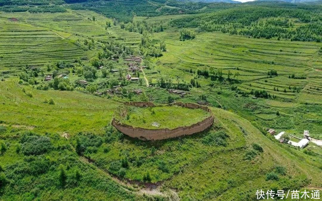 所有权|“退林还耕”政策下,教你三点弄清“农村土地确权”问题