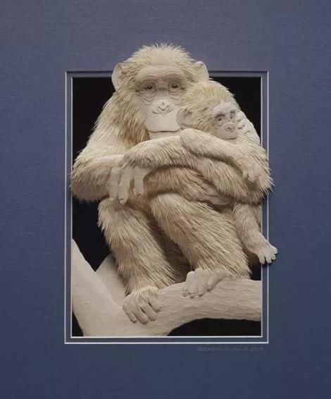 作品|意大利艺术家 Calvin Nicholls 纸雕作品