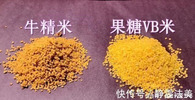 果糖|都说酒米钓鱼好用,但学会搭配以后,这3种选择会上鱼更多