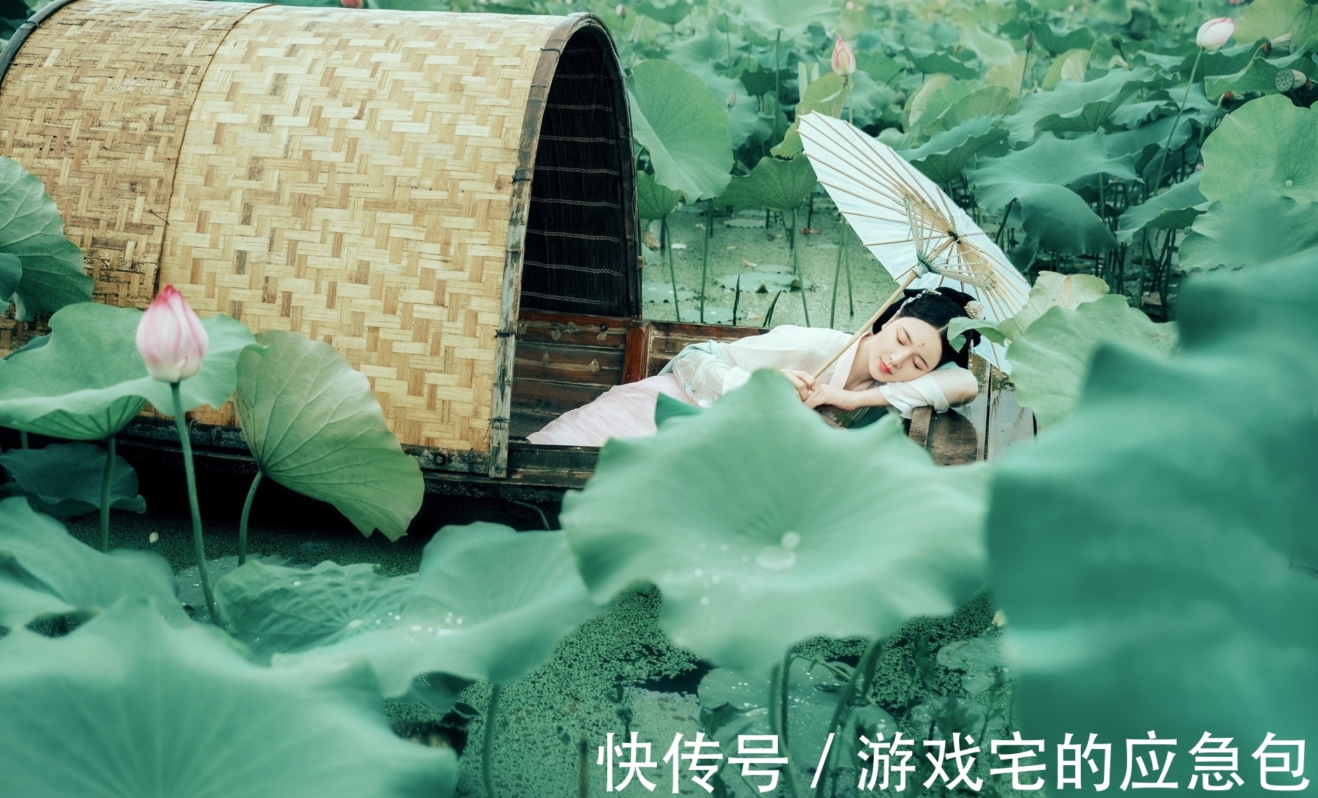 露寒!诗·十首丨露寒袭褪三分绿,雨冷摧来半数黄