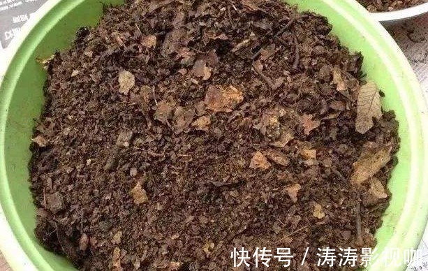 爱养花，却不会搭配盆土学学养花高手给出的方法，经济又实用
