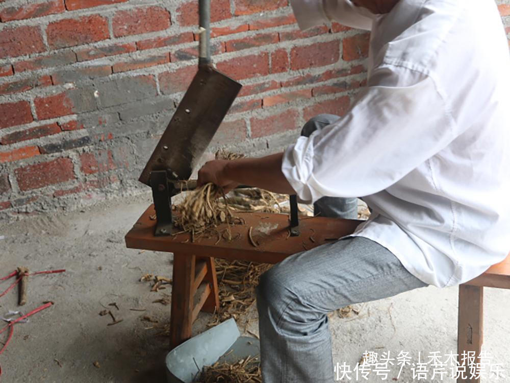 根比果实更值钱,一斤80元,市场供不应求,农户却不愿意采挖