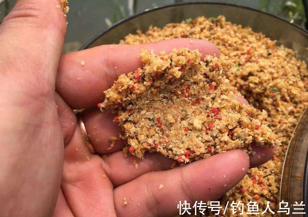 窝子|钓鱼忽然停口，到底是什么原因？真的是饵料不对路吗？