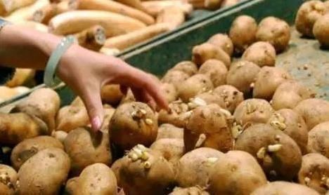 蒜辣素|常见的2种蔬菜,发芽后不仅没毒,营养价值更高了,一起来了解下