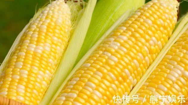 营养|想长寿要会吃,3种食物坚持吃,补充营养,提高免疫力!