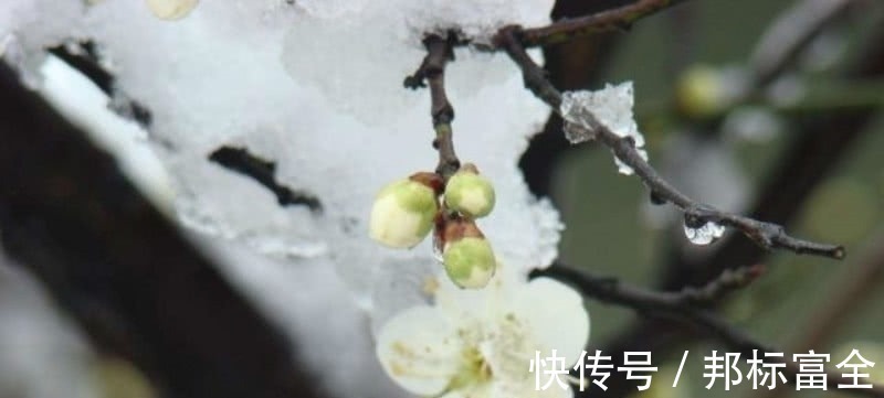 早春@宋朝一位二流的诗人,却写下一流的咏梅诗,通篇充满了诗情画意!