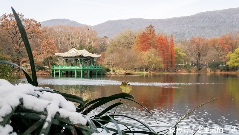 流徽榭|紫金山风景区欣赏雪景，徐向前元帅亲题“流徽榭”