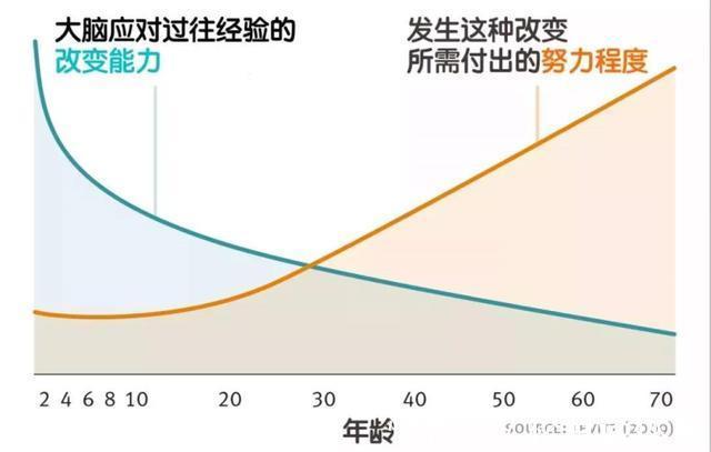 研究人员|哈佛研究：孩子大脑发育最佳方法不是阅读，有一点被很多家长忽略