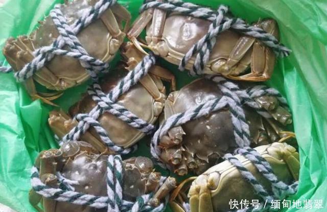 蒸“大闸蟹”别再用错了水,很多人做错了,难怪肉质老蟹膏少