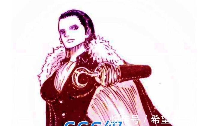 七武海|海贼王草帽团模仿七武海,路飞C级,山治A级,她一人SSS级