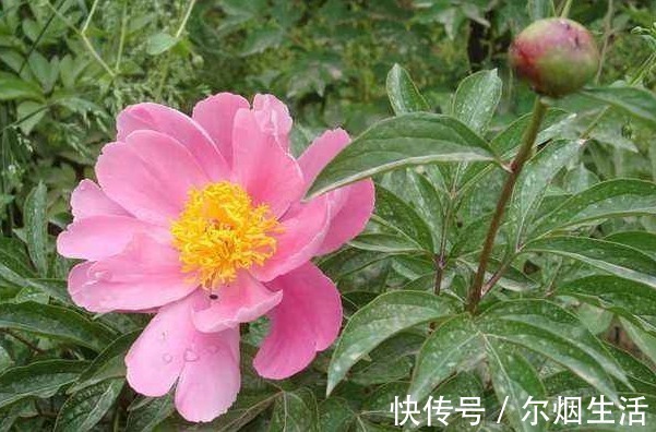 金律!出人头地的4条金律,悟懂其中一条,人生必将福来财到!