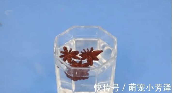 做饭|八角和白酒混在一起,解决了好多人的大难题,不知道的亏大了!