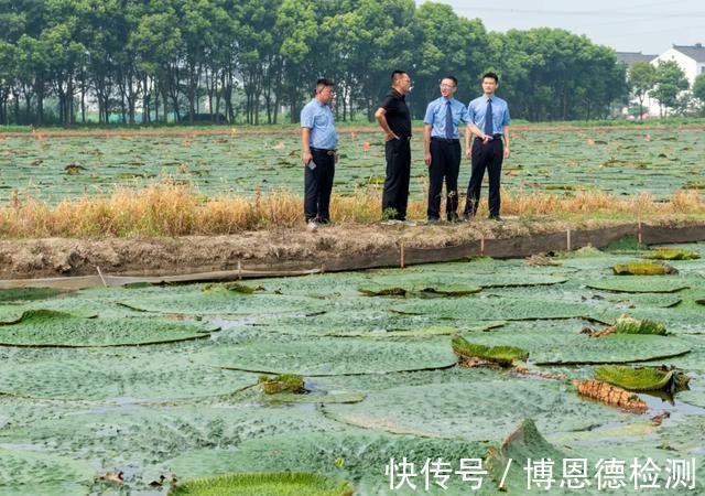 污染物|一文详解场地调查流程、项目和标准