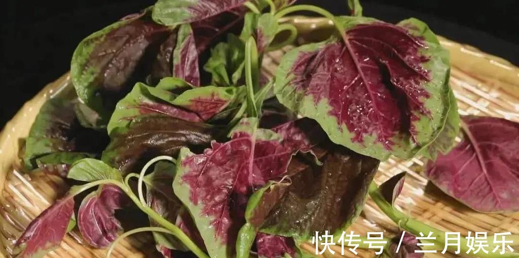 苋菜|补钙第一名不是牛奶!这份补钙排行榜请收藏,照着吃能长个