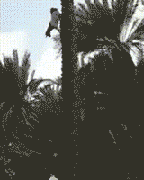 |搞笑GIF:听说怀孕了不能翘二郎腿,不然生出的孩子是这样的