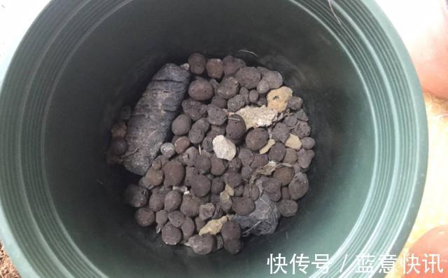 这3种“黑石头”，往盆里丢一点，养啥花都旺