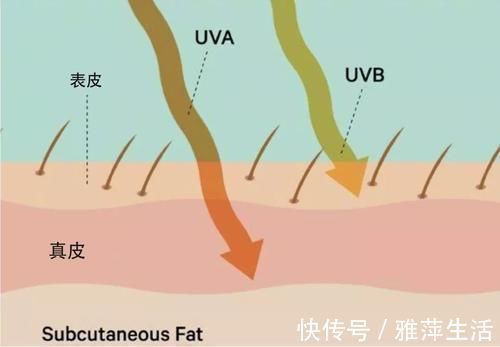 uva 坚持用了“4年”防晒霜，皮肤发生了“大改变”，不止变白了！