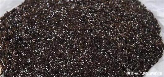 保水|注意别再买此种营养土了!把花种死了,哭都来不及