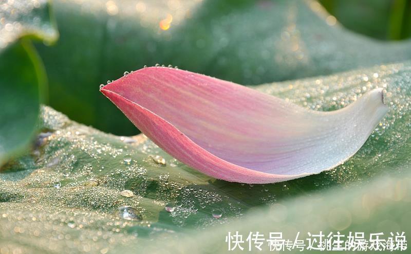 祛湿|祛湿排毒,牢记2不吃、3吃,不仅可以赶走湿气,身体也变得轻松