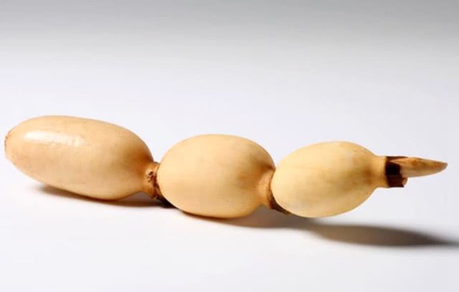 子宫|女性来例假时，多吃这几种食物，排出子宫污血，人更显年轻